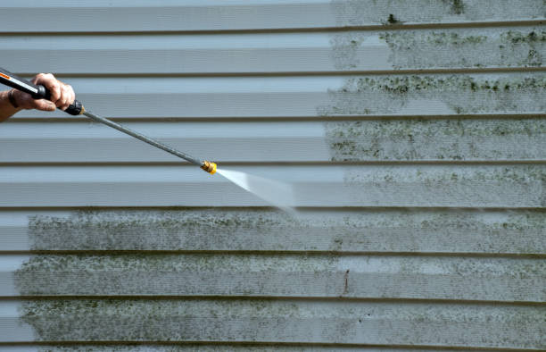 Best Roof Pressure Washing  in Middlesex, NC